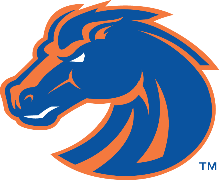 Boise State Broncos 2002-2012 Secondary Logo t shirts DIY iron ons